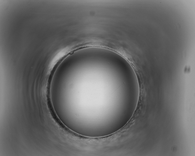 X0000094360007200711091525