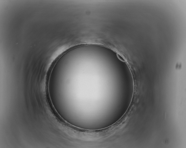 X0000094360008200711091525