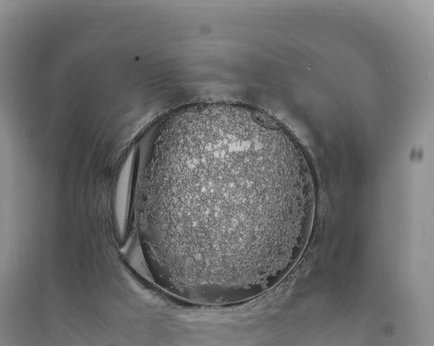X0000094360009200711091525