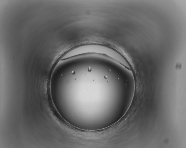 X0000094360010200711091525