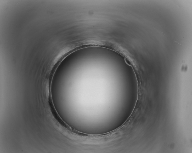X0000094360011200711091525