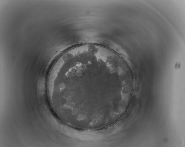 X0000094360012200711091525
