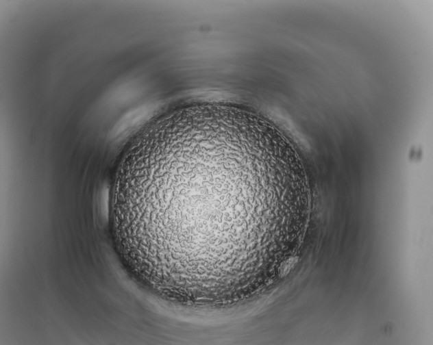 X0000094360014200711091525