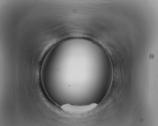 X0000094360015200711091525