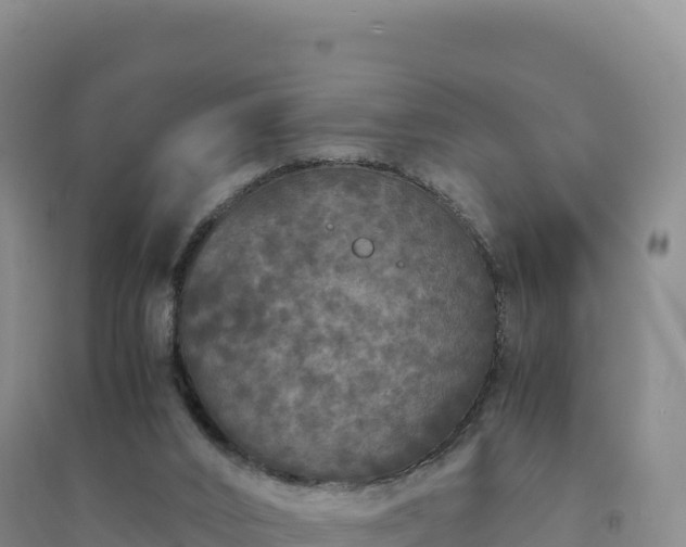 X0000094360016200711091525