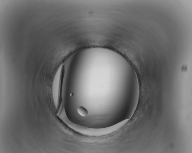 X0000094360017200711091525