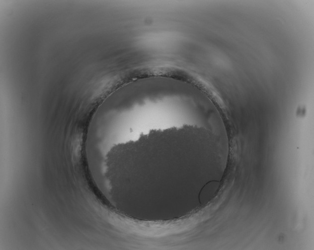 X0000094360018200711091525
