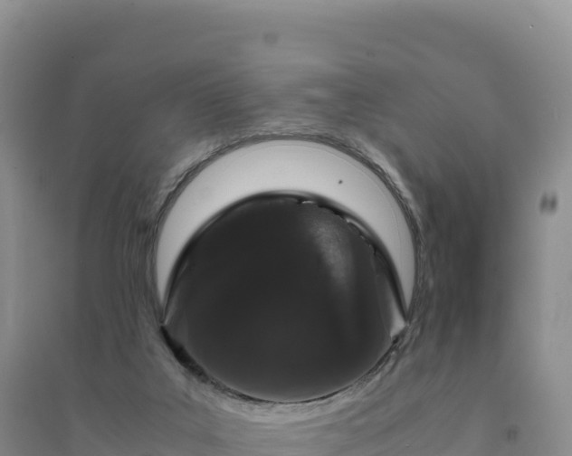 X0000094360019200711091525