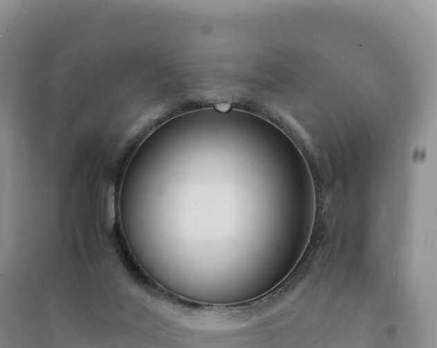 X0000094360020200711091525