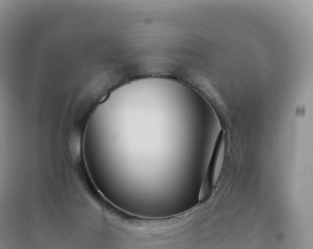 X0000094360021200711091525