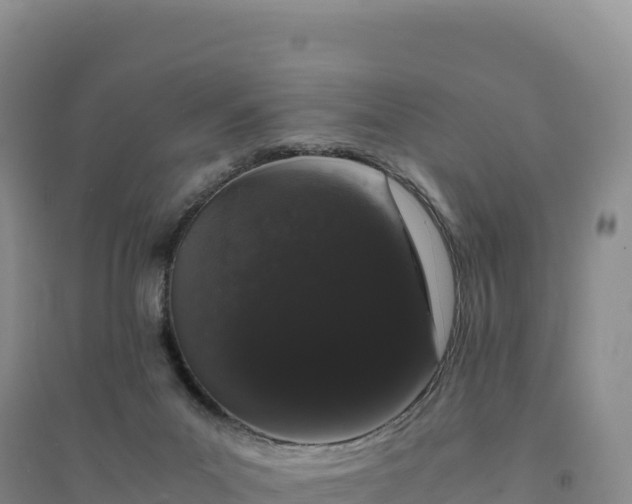 X0000094360023200711091525