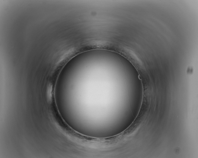 X0000094360024200711091525