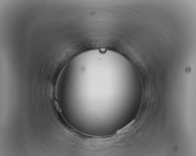 X0000094360025200711091525