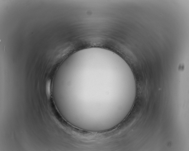 X0000094360028200711091525