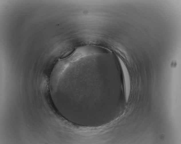 X0000094360029200711091525