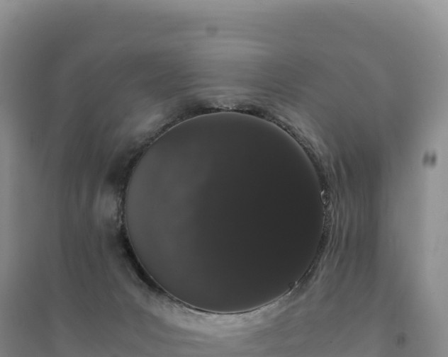 X0000094360031200711091525