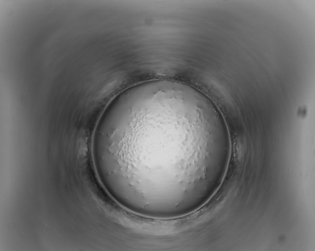 X0000094360032200711091525