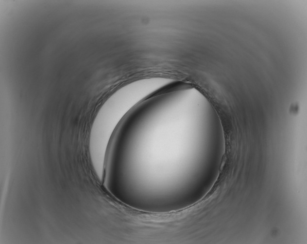 X0000094360033200711091525