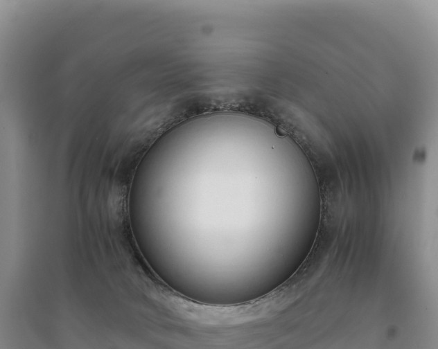 X0000094360034200711091525