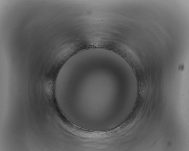 X0000094360036200711091525