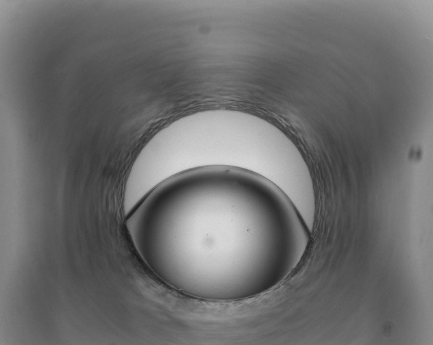 X0000094360037200711091525