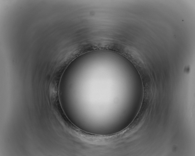 X0000094360040200711091524