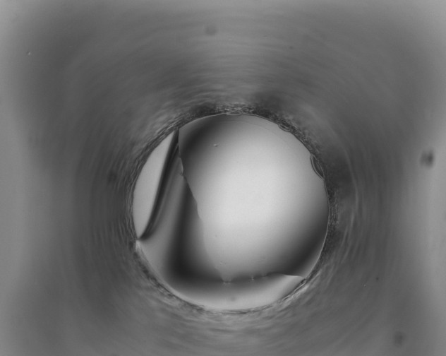 X0000094360041200711091524