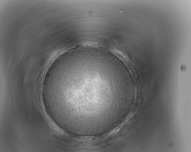 X0000094360049200711091524