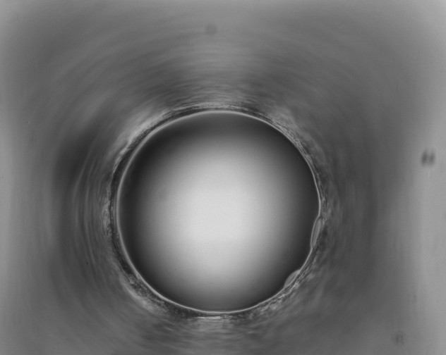 X0000094360050200711091524
