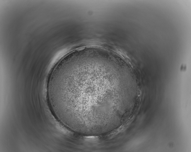 X0000094360053200711091524
