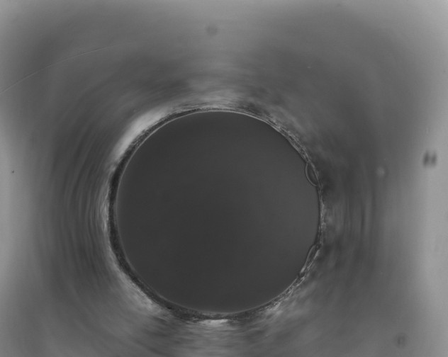 X0000094360054200711091524