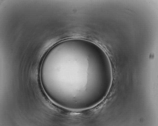 X0000094360055200711091524
