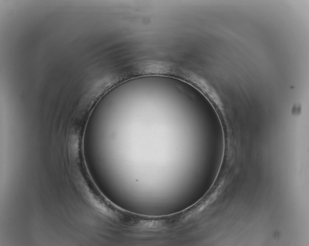 X0000094360057200711091524