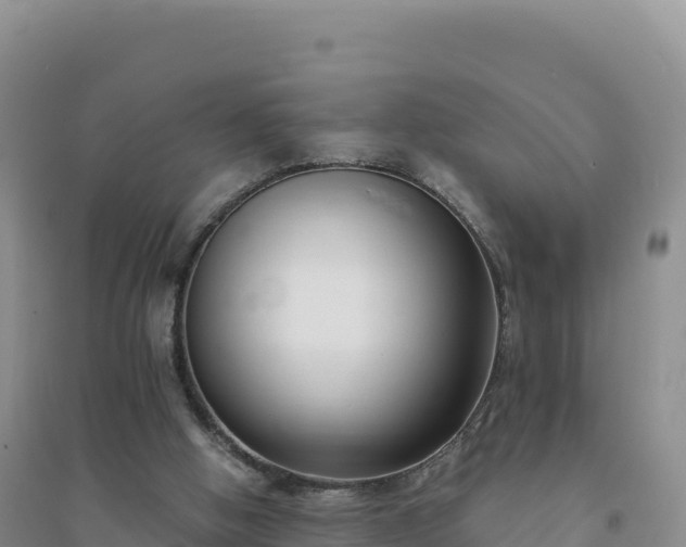 X0000094360058200711091524