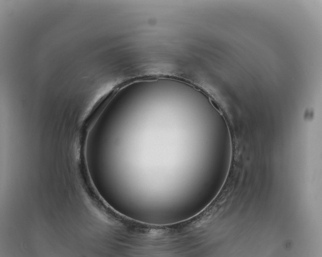 X0000094360060200711091524