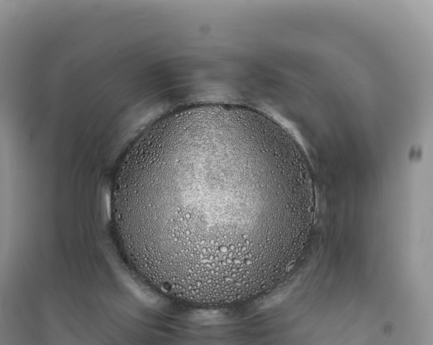 X0000094360061200711091524