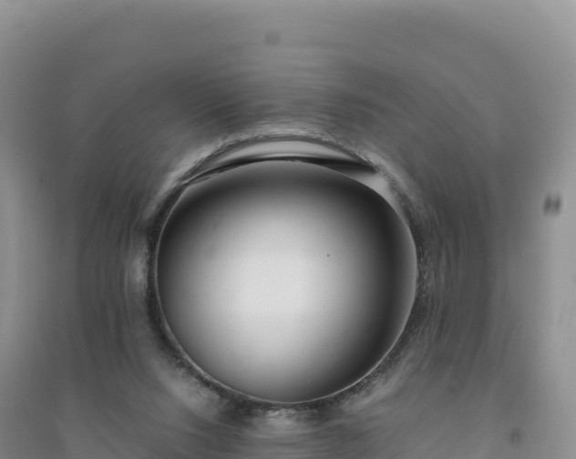 X0000094360064200711091524