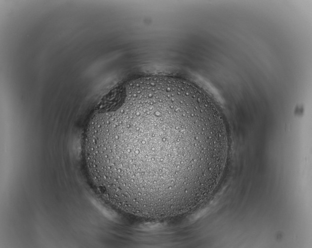 X0000094360065200711091524