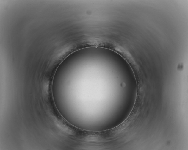 X0000094360066200711091524