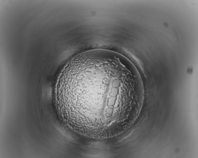 X0000094360067200711091524