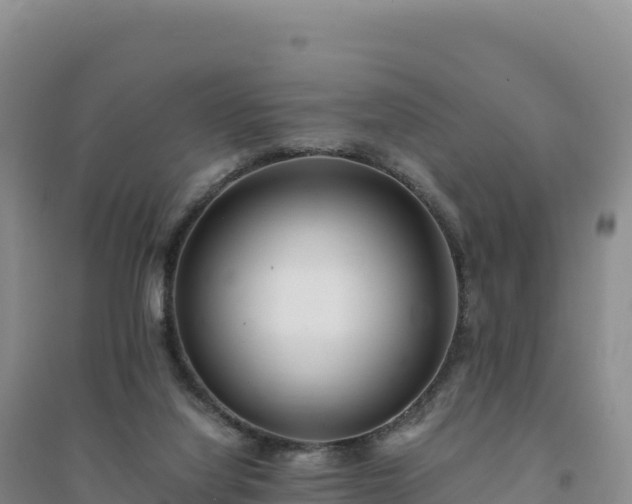 X0000094360068200711091524