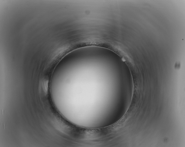 X0000094360070200711091524