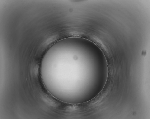 X0000094360071200711091524