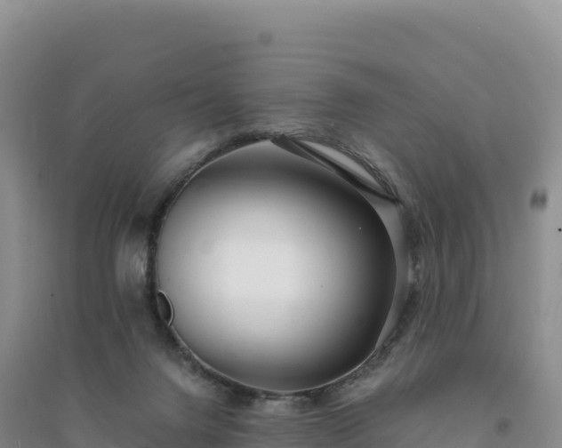 X0000094360072200711091524