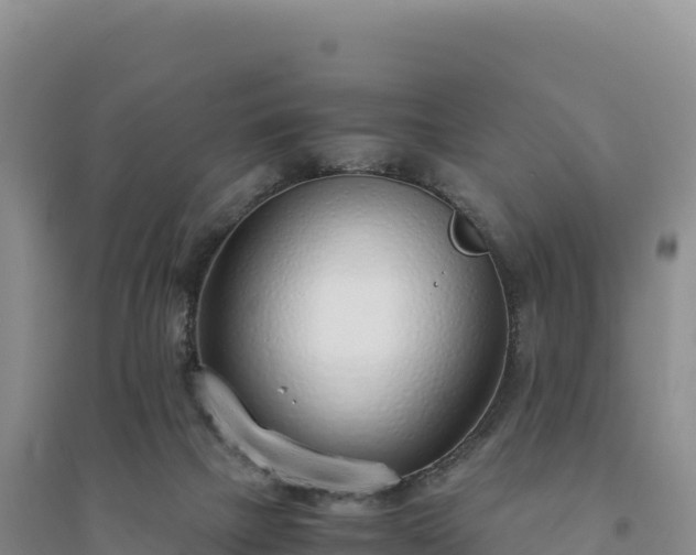 X0000094360073200711091524