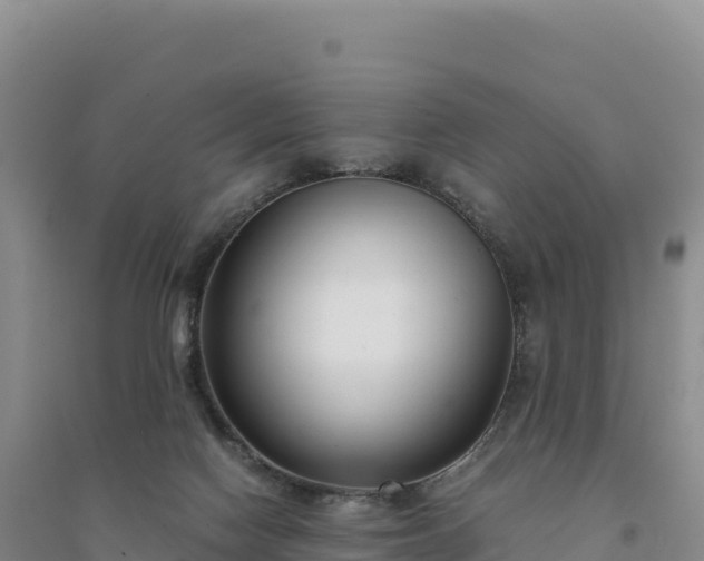 X0000094360074200711091524