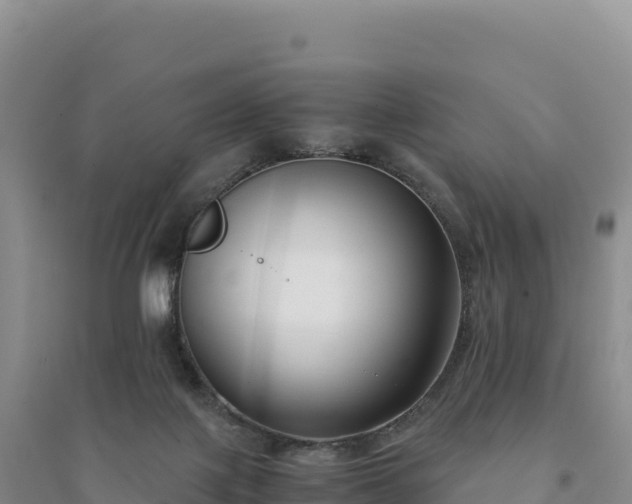 X0000094360075200711091524