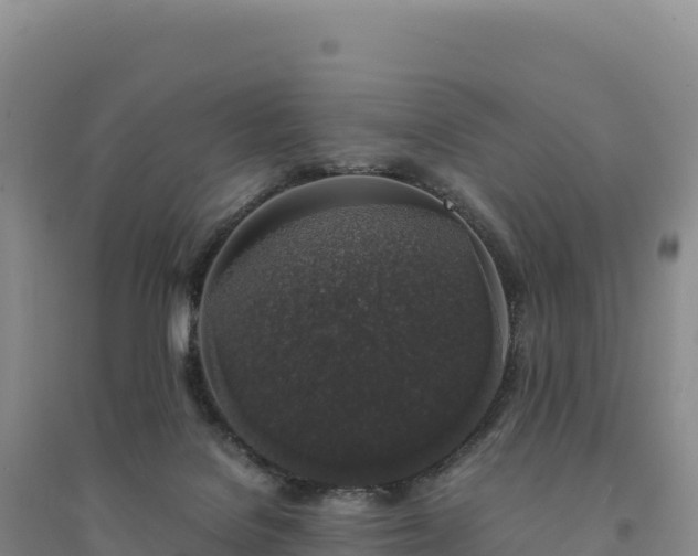 X0000094360076200711091524