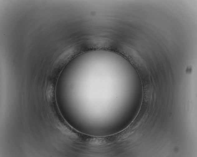 X0000094360077200711091524