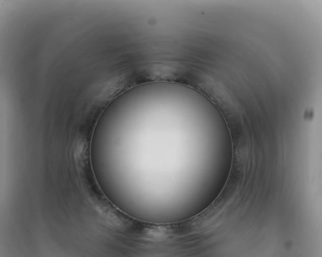 X0000094360079200711091524